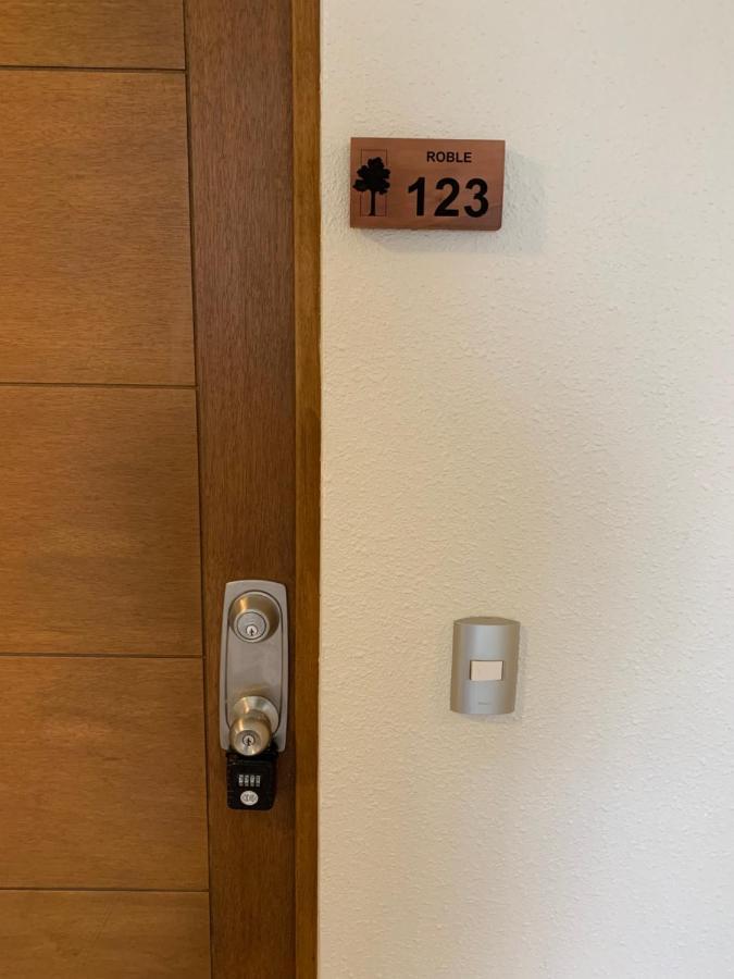 Nuevo Y Muy Bien Equipado Departamento En Pucon Apartman Kültér fotó
